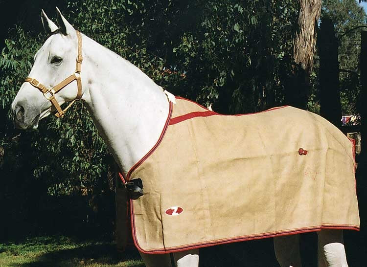 Zilco Natural Jute Unlined Rug