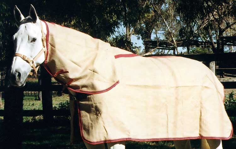 Zilco Natural Jute Unlined Combo