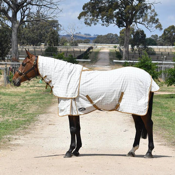 Eurohunter Grand National Crossover Combo