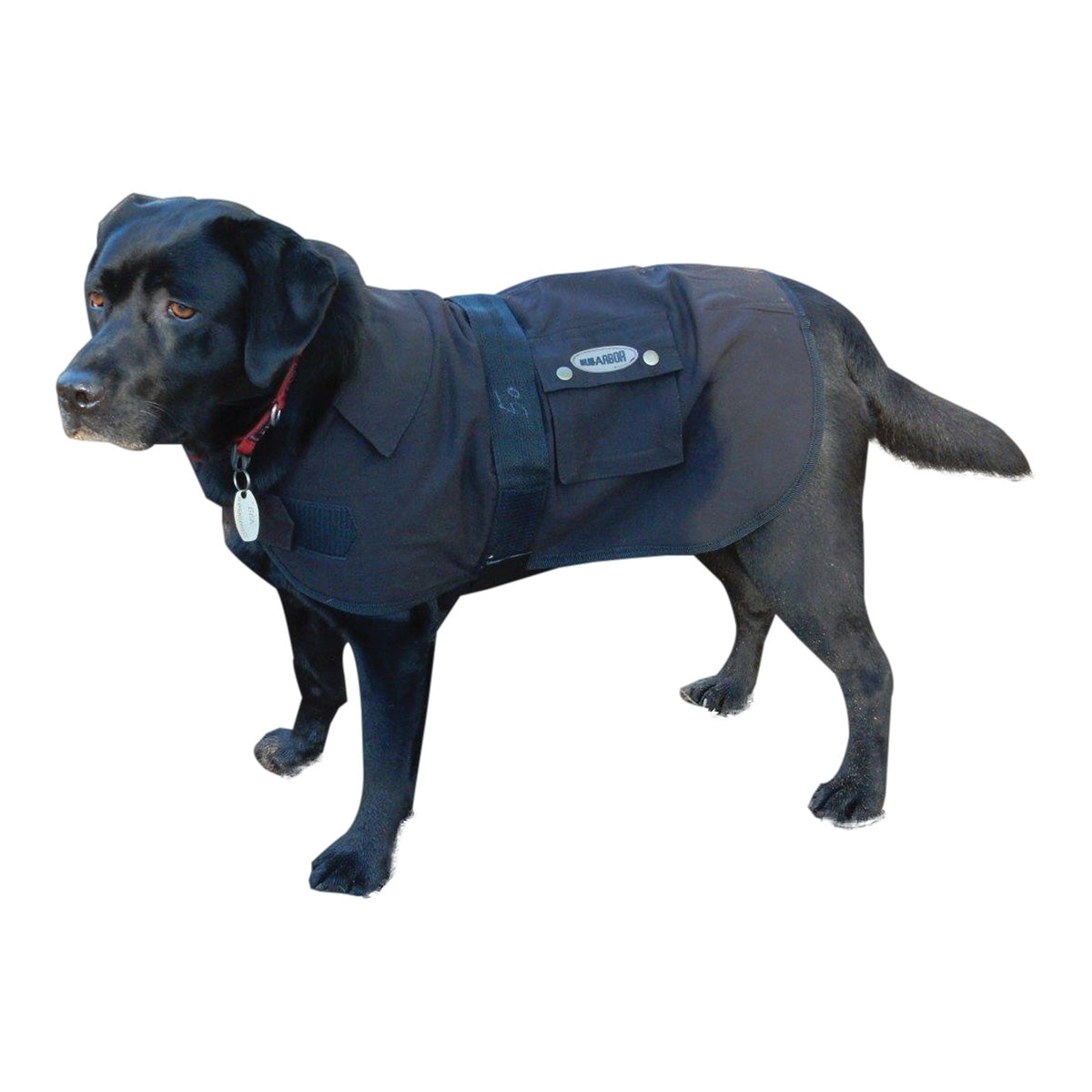 Oilskin Dog Rug