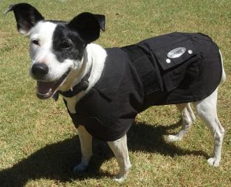 Oilskin Dog Rug