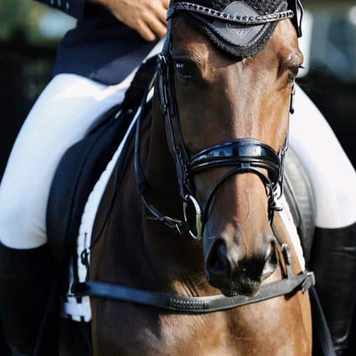LUMIERE ALICIA DRESSAGE BRESTPLATE