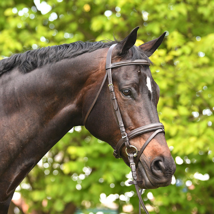Academy Snaffle