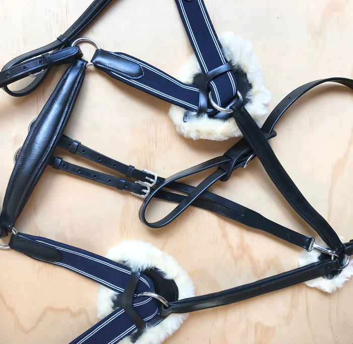 Antiqua 5-Point Leather Breastplate