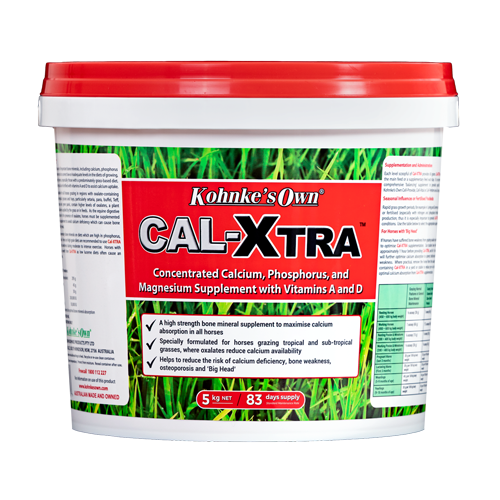 Kohnkes Own Cal Xtra