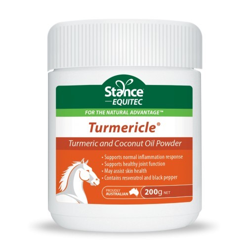 EQUITEC ESSENTIALS TURMERIC