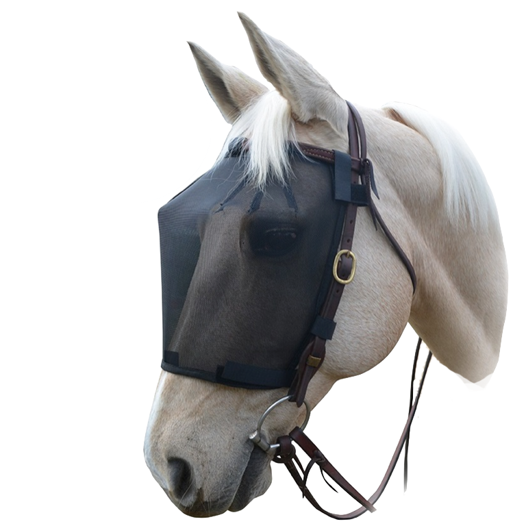 Wild Horse Fly Veil Rider