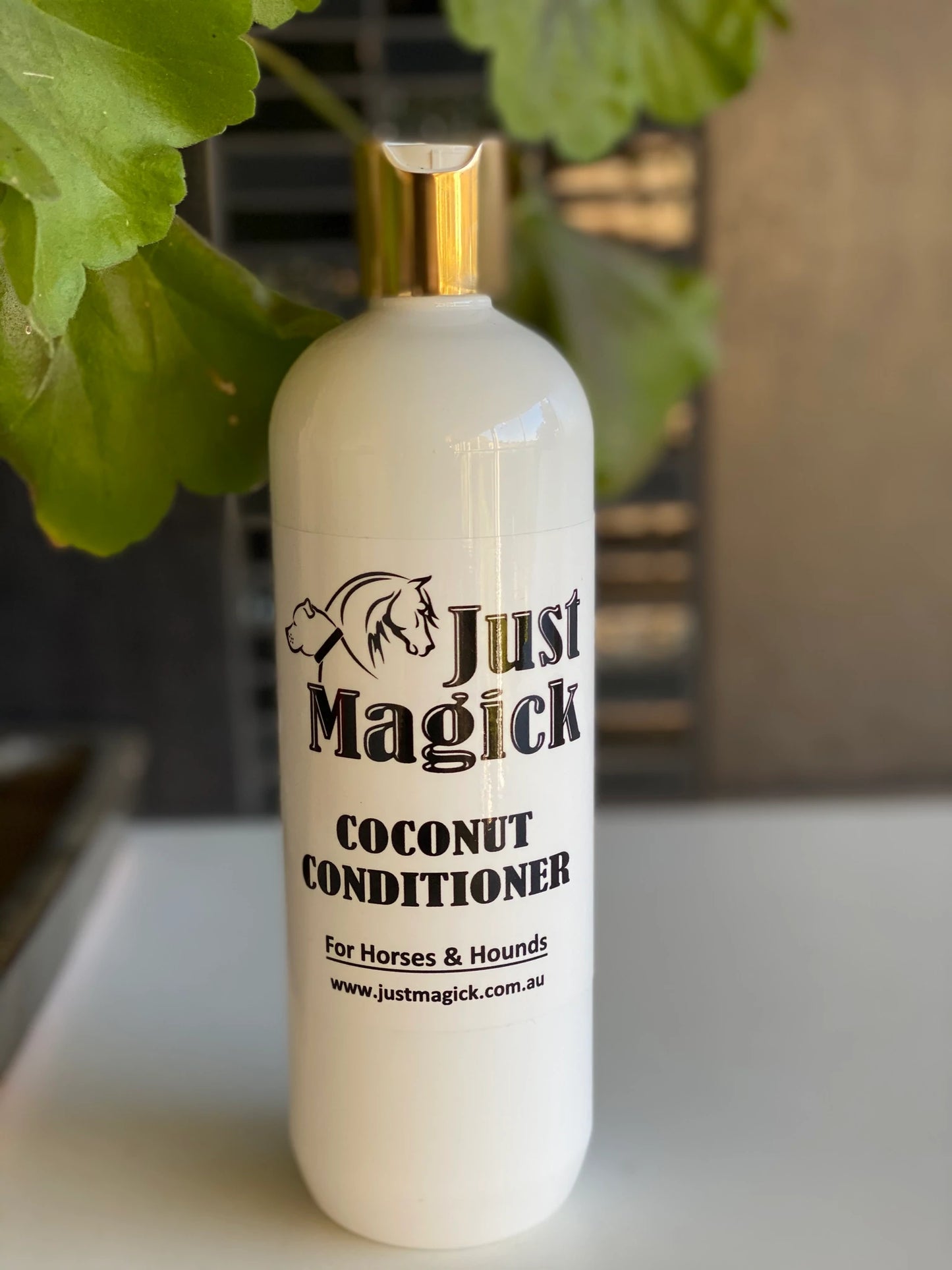 Just Magick Conditioner