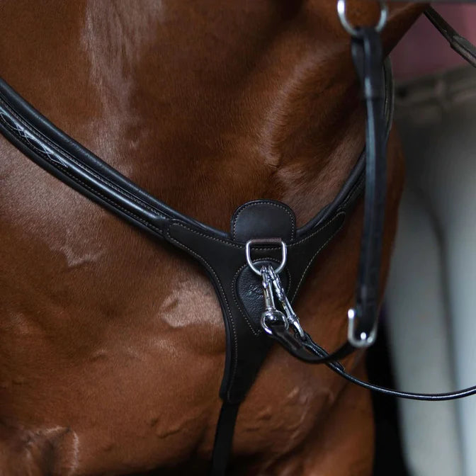 LUMIERE VICTORY 3-POINT BREASTPLATE