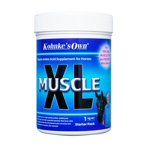 New Muscle Xl