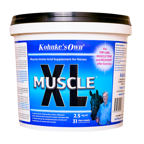 New Muscle XL