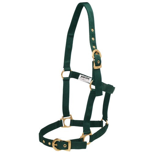 Rancher Halter w/Brass Buckles