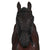 EZY/BREATHE FLY MASK