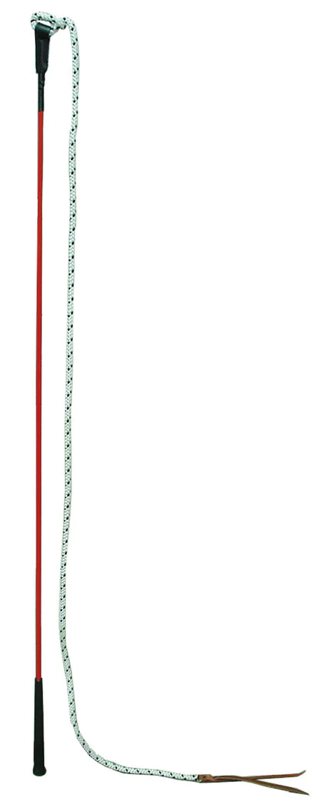 Horsemanship Training Stick