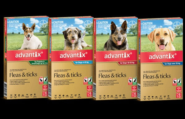 BAYER ADVANTIX DOG