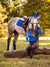 Lemieux Classic fly Hood