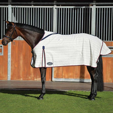 Eurohunter Brisa Rug