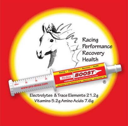 PRO-DOSER BOOST PASTE