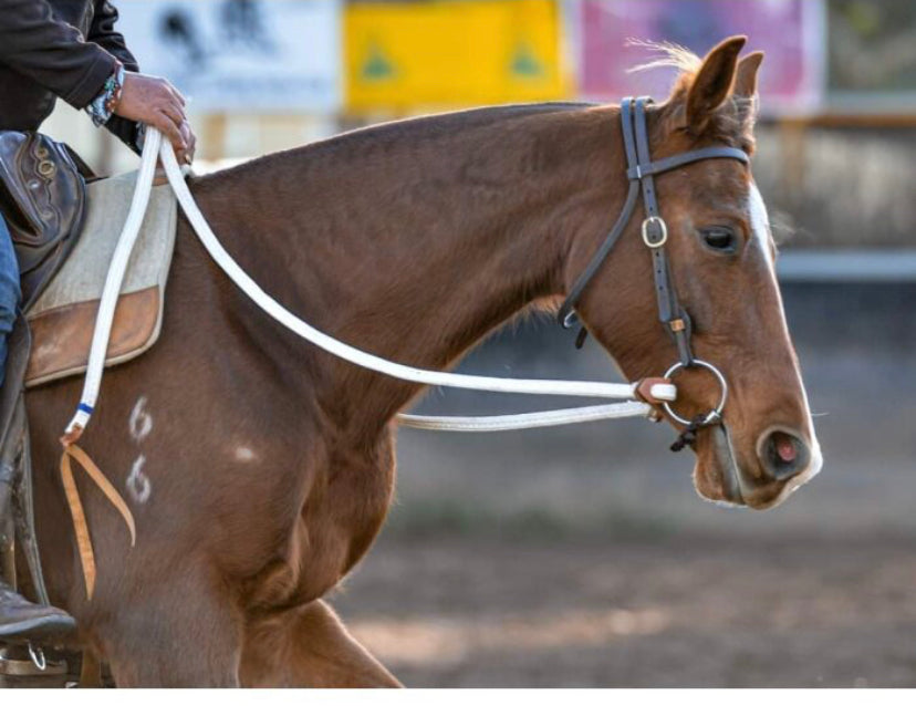 Toprail Flat Braided Split Campdraft Reins.