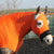 Horze Hood Pull On Skinny Hood