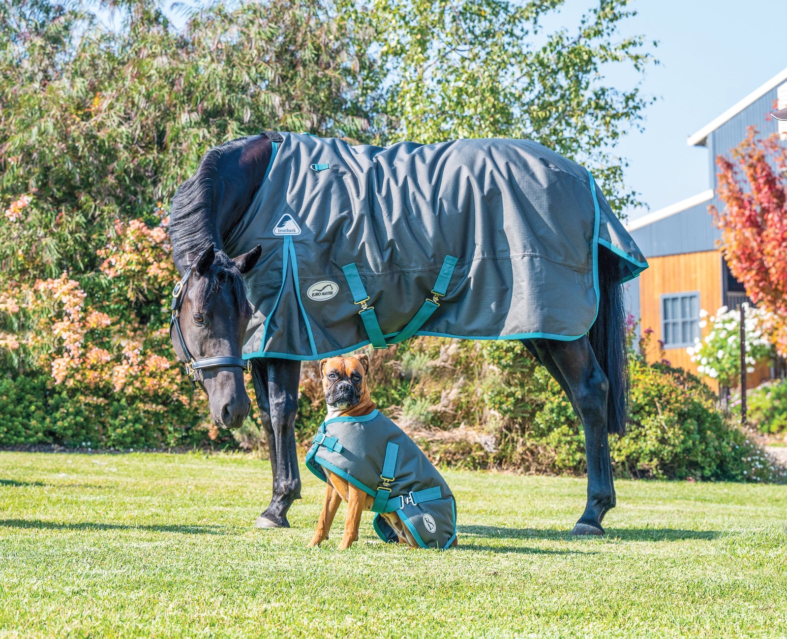 Eurohunter Ironbark Winter Rug