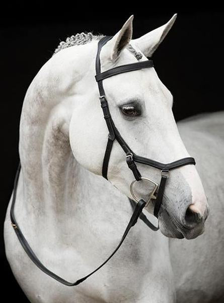 Rambo Origin Bridle
