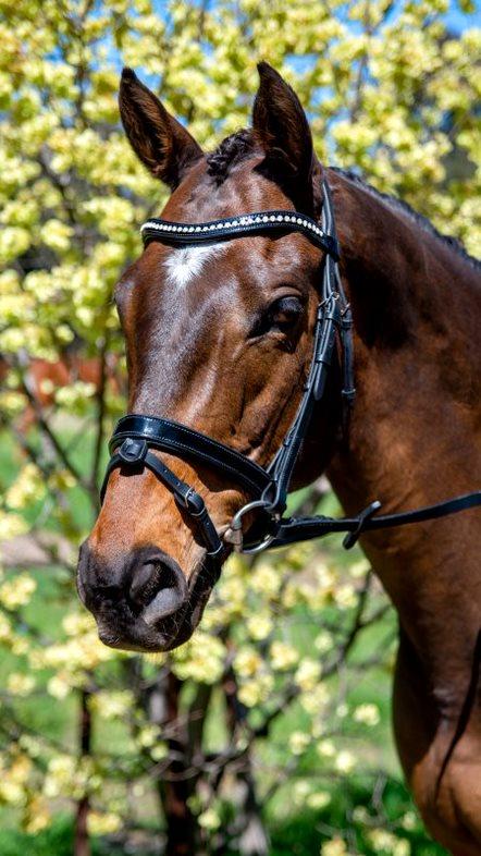 Flexible Fit - Patent Mid Thin Crystal Wave Snaffle Bridle.