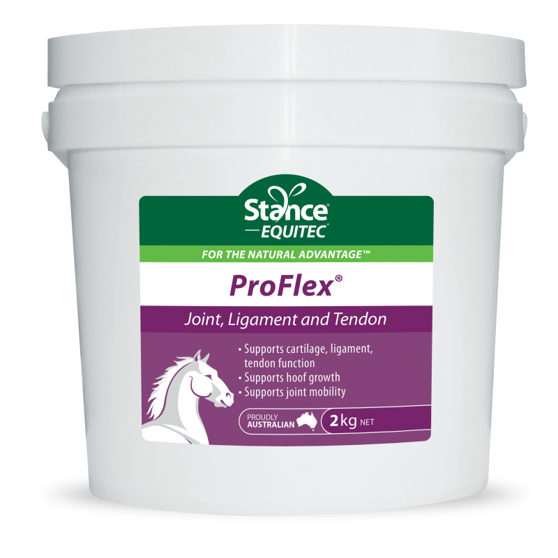 Pro Flex