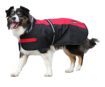 Showcraft Two Tone Dog Coat