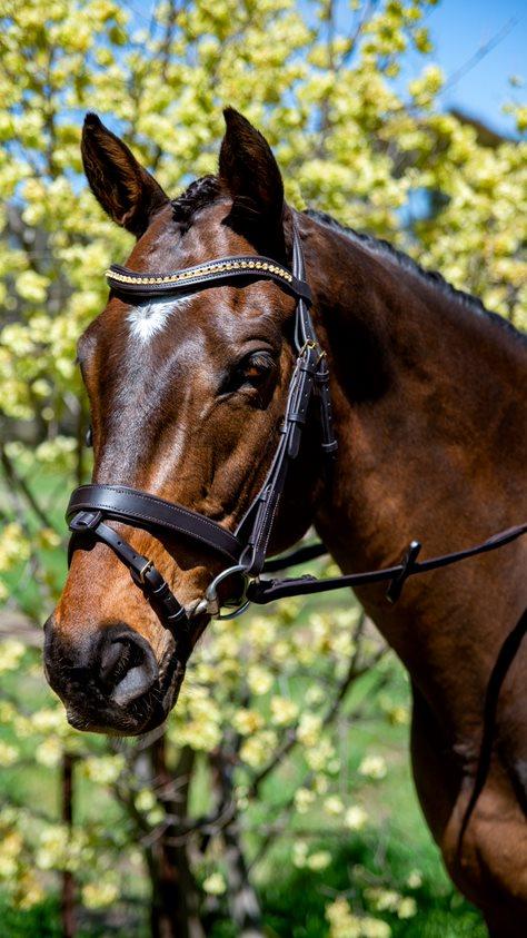 Flexible Fit - Topaz Wave Snaffle Bridle w Brass Buckles