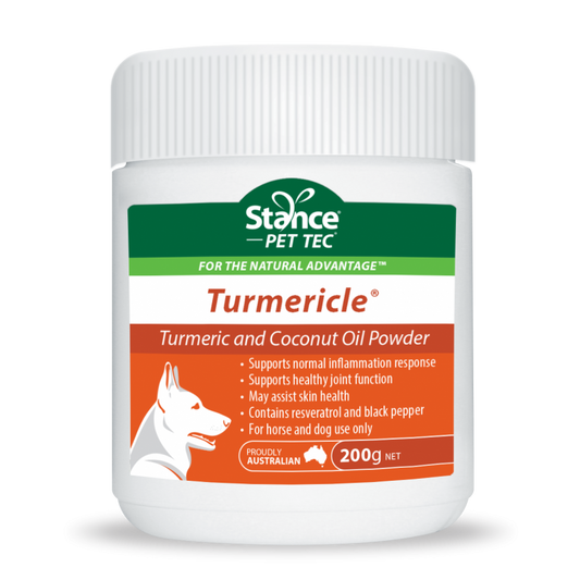 Tumericle