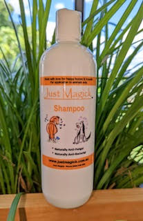 Just Magick Shampoo